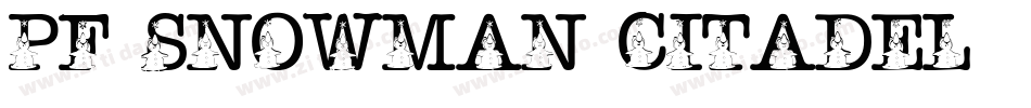 pf_snowman citadel字体转换